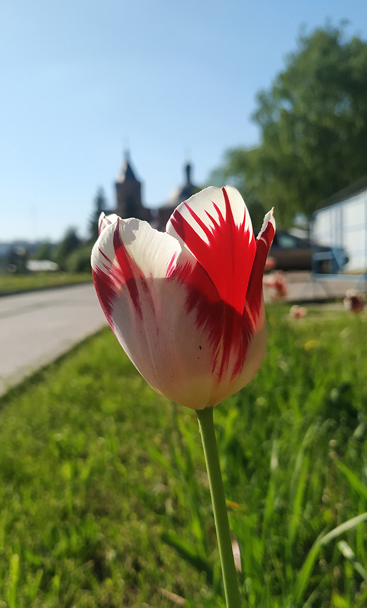 IMG 20230517 162837